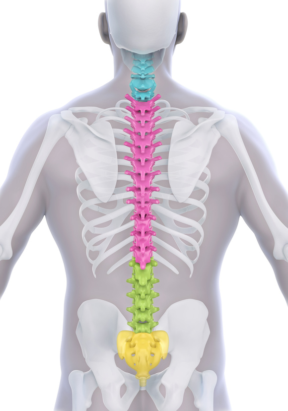 osteoartrita coloanei vertebrale lombare osteocondroza regiunii cervicale
